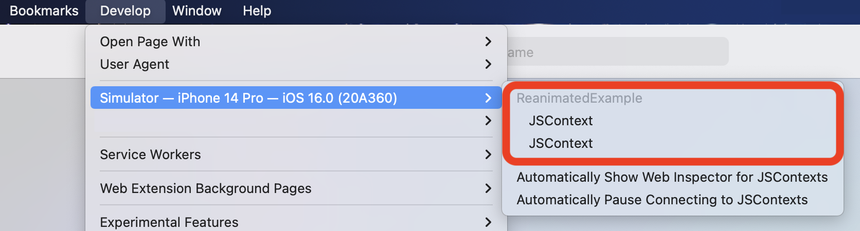 Screenshot showing Safari&#39;s Develop menu options
